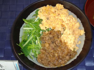 20141208日替り丼