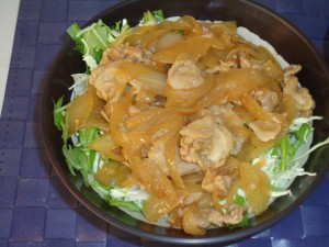 20150126日替り丼