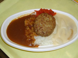 20150523ハンバーグカレー