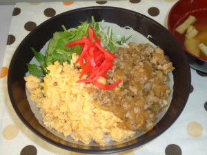 20150525日替り丼