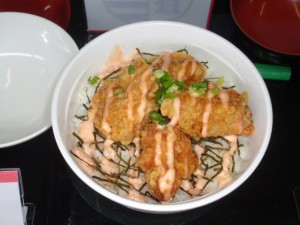 20150715丼