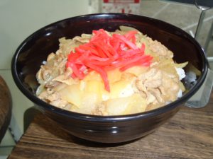 20160824本日の丼