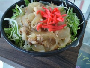 20161004日替り丼