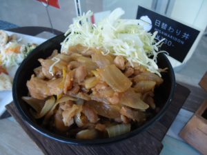 20170112日替り丼