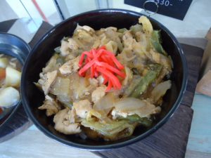 20170131日替り丼